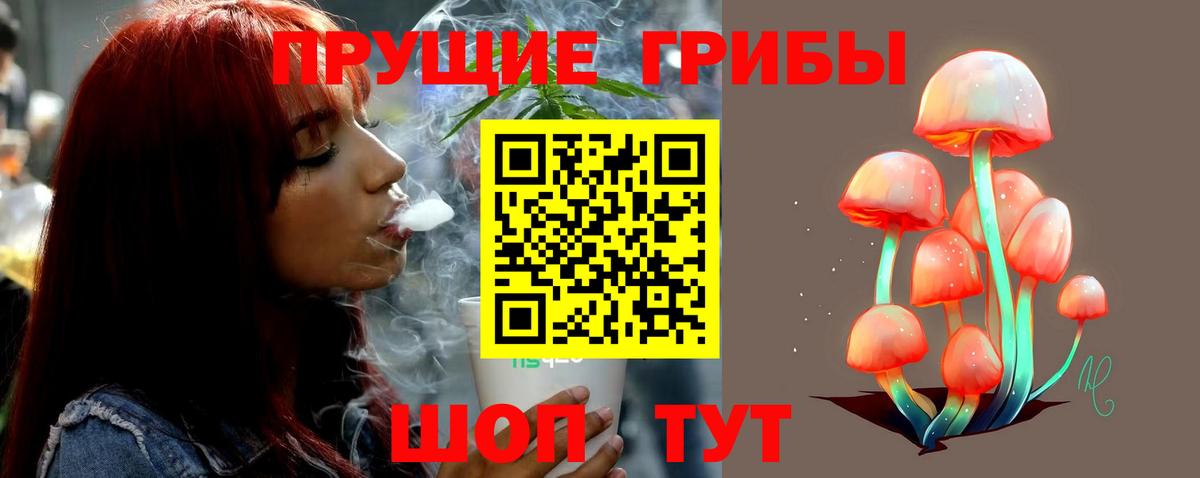 дарнет шоп  Псилоцибиновые грибы ЛСД  Вход с VPN  Хабаровск 
